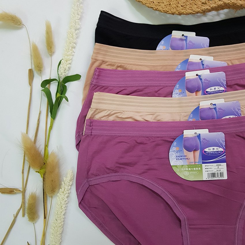 Quần Lót nữ Bigsize Trơn 2850 - Chất Cotton - Thoáng mát, mềm mại - Freesize cho nàng dưới 80kg