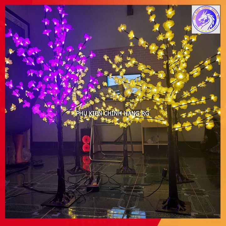 [Hình Thật] Cây Mai Vàng Trang Trí Tết Siêu Đẹp Cao 1.2m Có Đèn Led Sáng