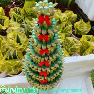 Trúc Phát Tài 7 tầng kèm dĩa