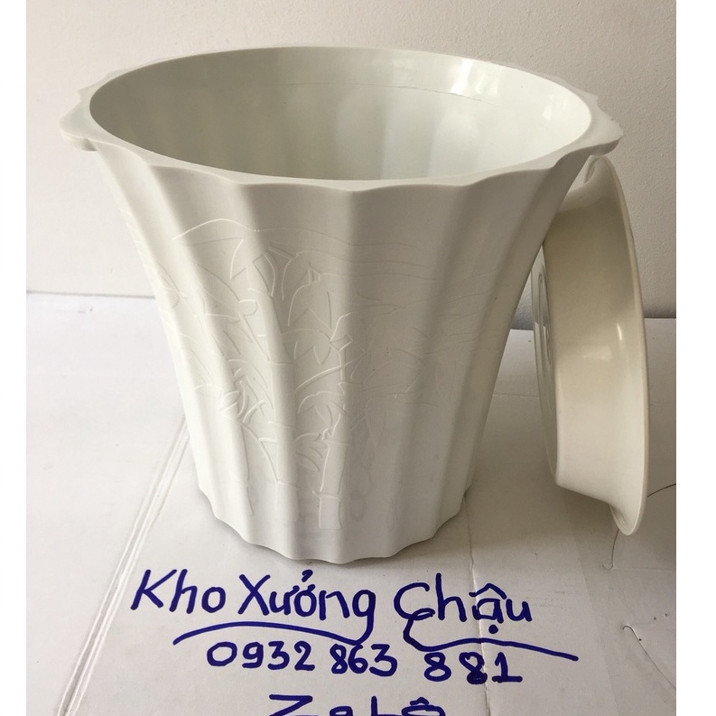 [Combo] Chậu Khía Để Bàn + Tặng Luôn Đĩa Lót (Hàng Loại 1)