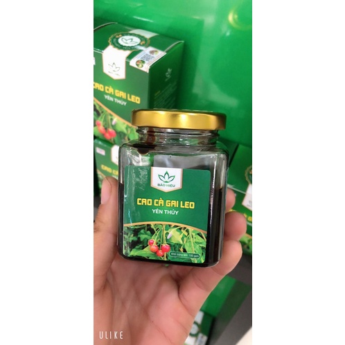 Cao Cà gai leo Yên Thủy lộ 100g gram - Giải độc gan, mát gan, giải rượu - HSD 2 năm