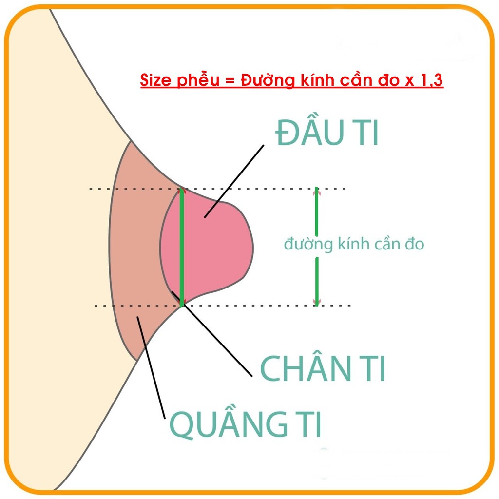 Cặp 2 phễu máy hút sữa 17/19/21/24/27 mm - Hàng VN