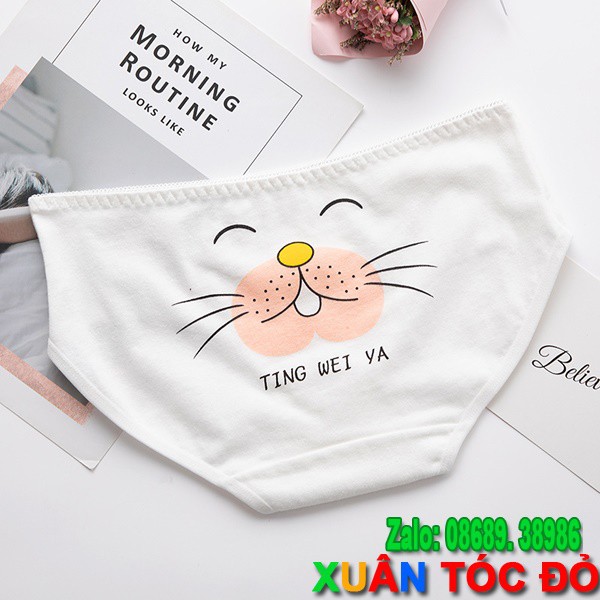 [Mã WASTDEP giảm 5K đơn bất kì] SỈ ZALO RẺ HƠN NHIỀU_ Quần Lót 5 Kiểu Mặt Loài Vật Siêu Xinh N010 | BigBuy360 - bigbuy360.vn