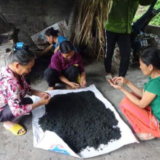 Trà Thái Nguyên 500g