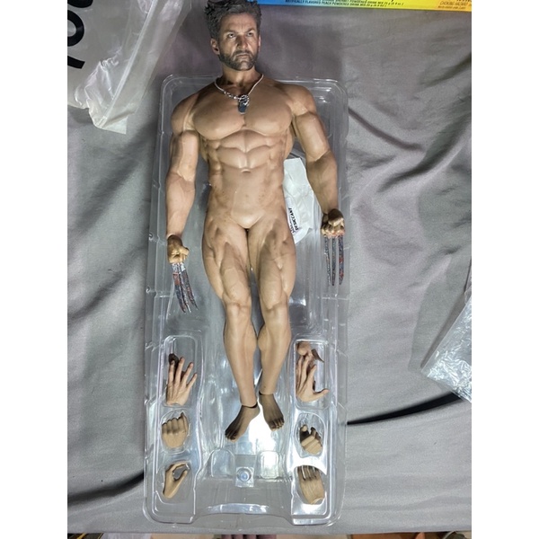 Búp bê người sói Phicen đầu hottoys