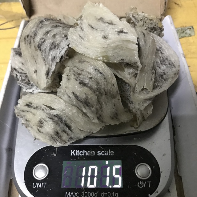 Yến sào thô nguyên tổ Nha Trang, Khánh Hoà 100g +🎁🎁🎁