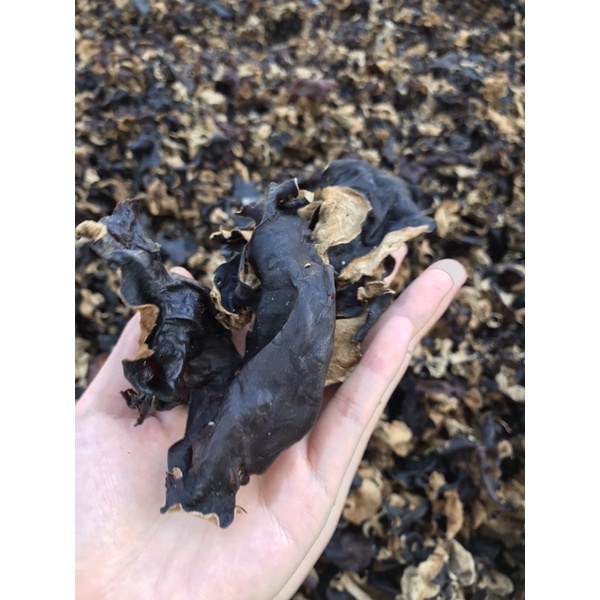 Combo miến, măng, mộc nhĩ, nấm hương