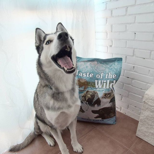 Thức Ăn Cho Chó Samoyed Taste Of The Wild Bao 2kg Lông Bóng Mượt - Pacific Stream Cá Hồi Xông Khói, Rau Củ Quả