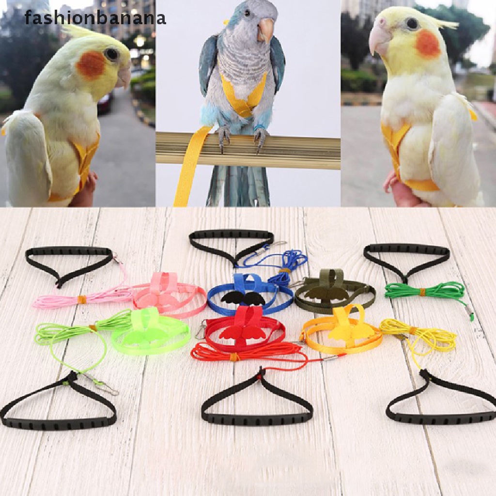 Dây dắt vẹt đi dạo có thể điều chỉnh tiện dụng