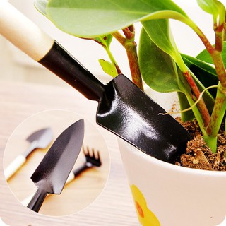 Combo 3 món dụng cụ làm vườn mini tiện dụng