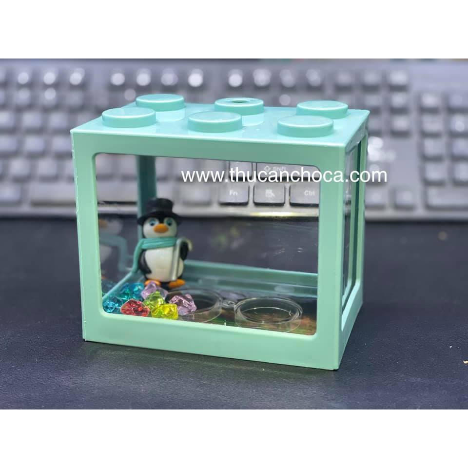 Hồ cá mini Combo để bàn Betta cá đá cá xiêm