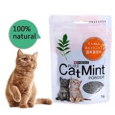 Cỏ bạc hà (Catmint) điều trị chứng biếng ăn cho mèo