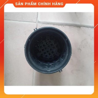2 chậu nhựa trồng lan F18.