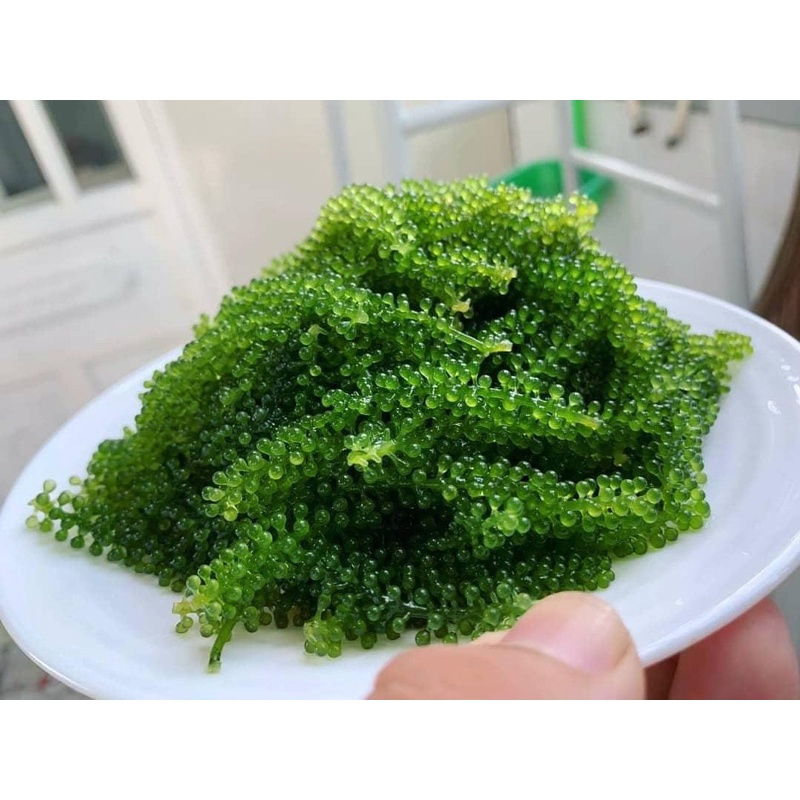 Rong nho tách nước Green Food gói 100gr - Giòn ngon - tươi xanh không tanh - check mã vạch cty