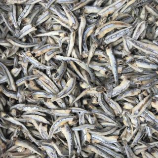 0,5kg CÁ CƠM XANH KHÔ sạch ngon