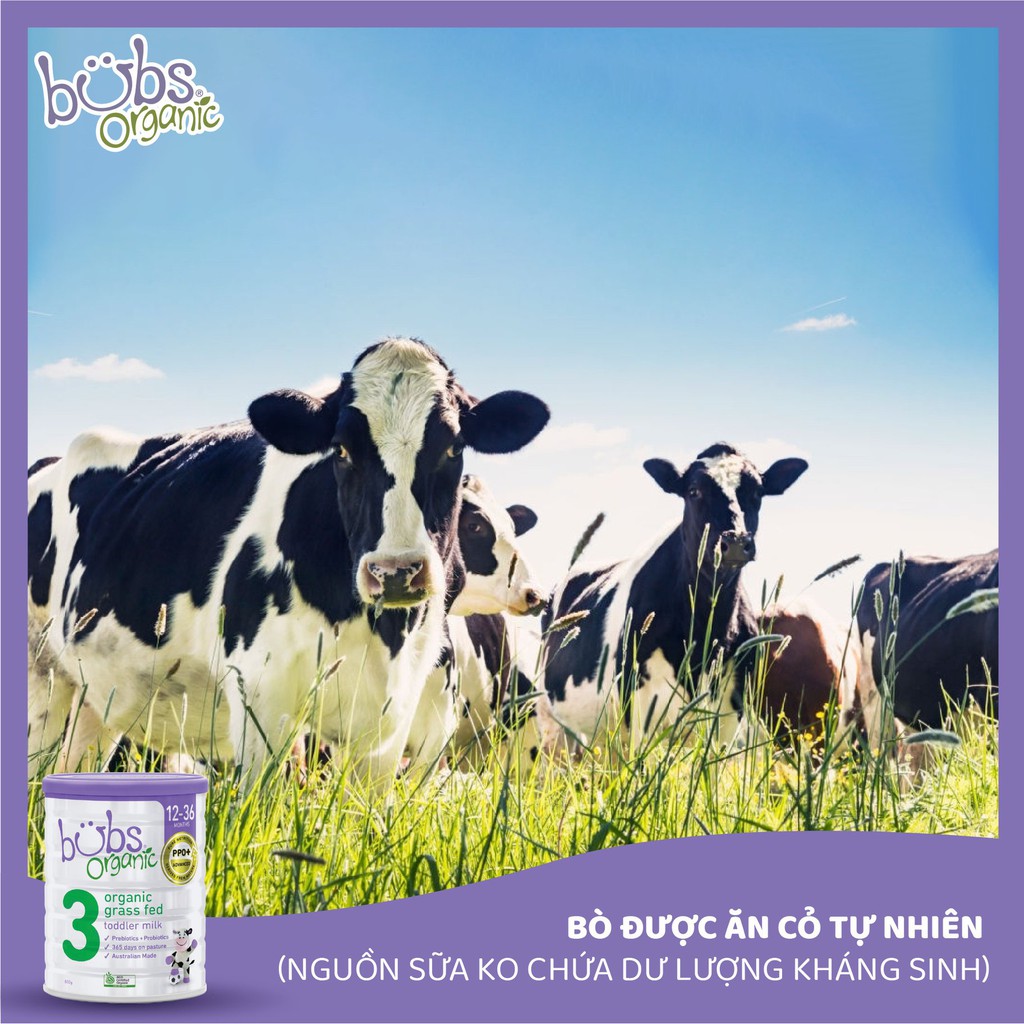 Sữa Bột Bò Hữu Cơ Bubs Organic Số 1 800g