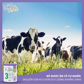 Sữa bò Bubs Organic Số 1 (0 - 6 tháng) 800g