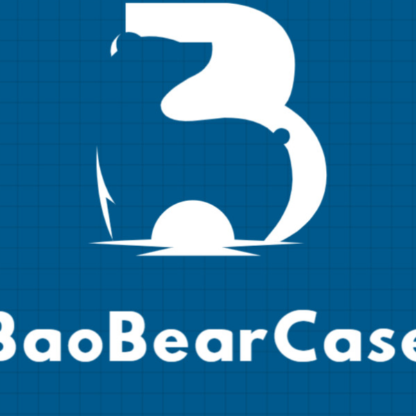 BaoBearCase