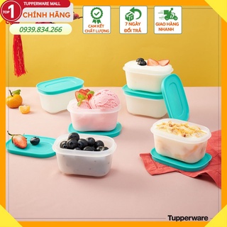 Hộp trữ đông Tupperware ❤️ Freeship❤️ freezermate size nhỏ 170ml
