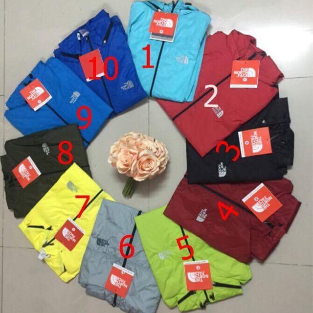 Áo gió the northface