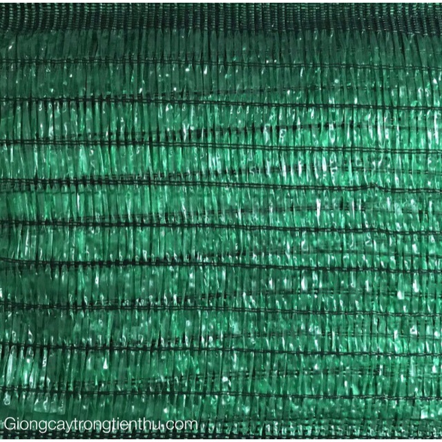 LƯỚI CHE NẮNG THÁI LAN 60% MÀU XANH