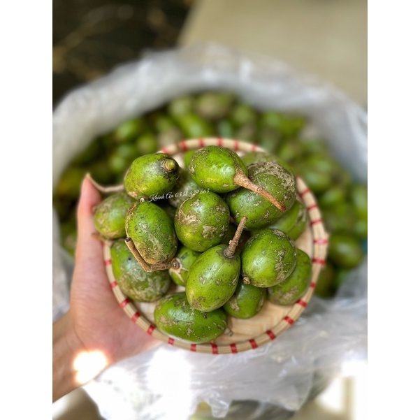 XOÀI, CÓC BAO TỬ SIÊU NGON