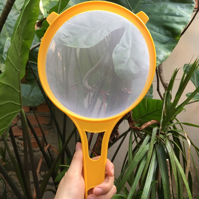 Rây Nhựa (rây lọc nấm kerfil)