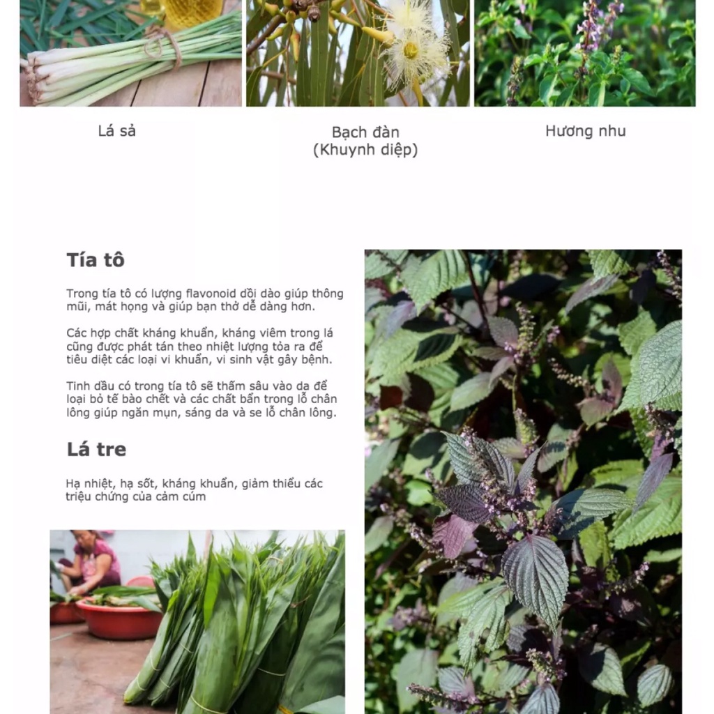 Lá Xông Thảo Dược Giải Cảm Highland Herbs Gói 60g