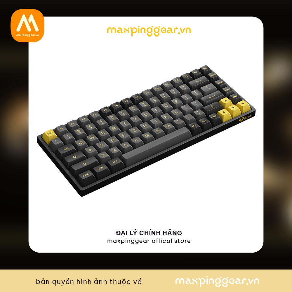 Bàn phím cơ AKKO 3084B Plus Black & Gold