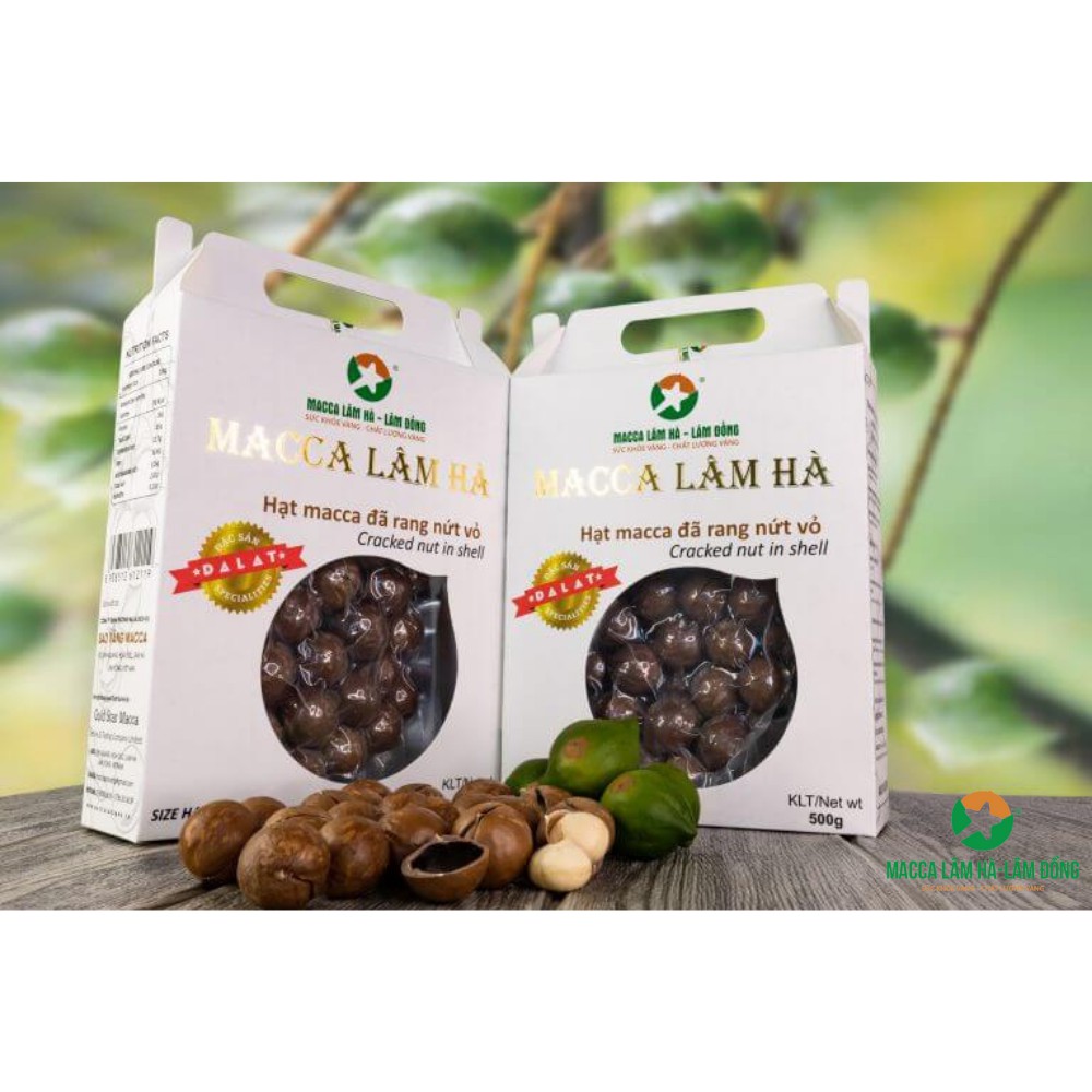 Hạt Macca Đã Rang Nứt Vỏ Size Lớn 500G [MaccaTâyNguyên-LâmHàLâmĐồng]