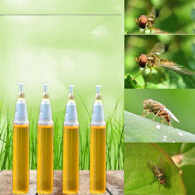 Tuýp mồi Pheramone ống thuốc bẫy ruồi vàng ruồi đục trái diệt côn trùng bay có hại 2ml - An An Saigon