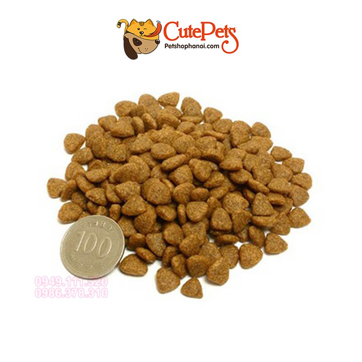 Thức ăn cho mèo Catsrang 2kg Hạt cho mèo mọi lứa tuổi xuất xứ Hàn Quốc - CutePets