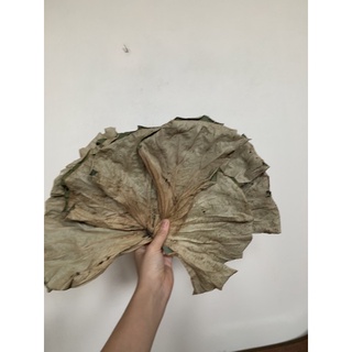 5kg )lá sen khô