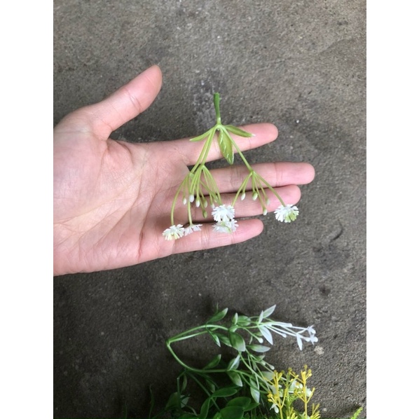 Cỏ điểm trang trí 100gram
