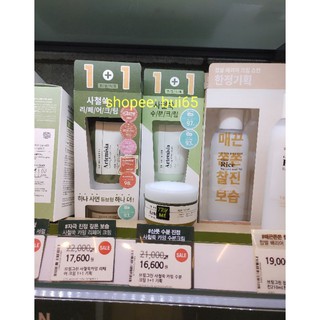 Kem dưỡng ngải cứu bring green calming water cream hàng tách set no box
