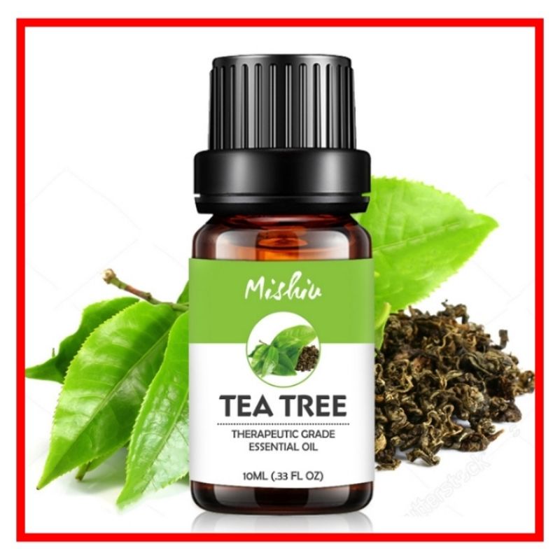 Tinh dầu trà xanh Green Tea Nature Life, xuất sứ thiên nhiên không pha tạp chất, có giấy kiểm định COA