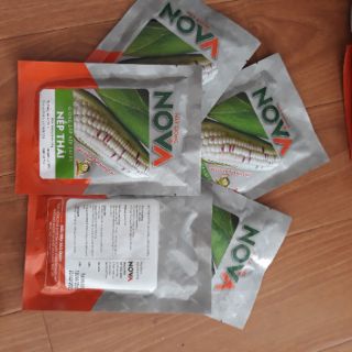 Combo 5 gói bắp nếp Thái Lan siêu dẻo ngọt