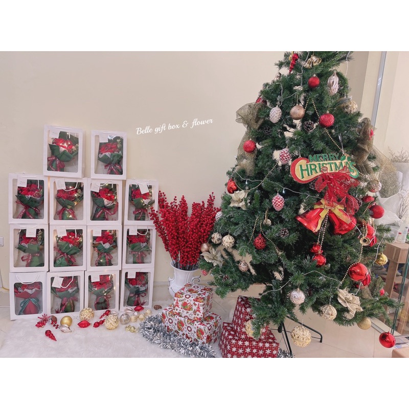 Túi hoa ngày Giáng sinh, noel tặng kèm túi thiệp đèn