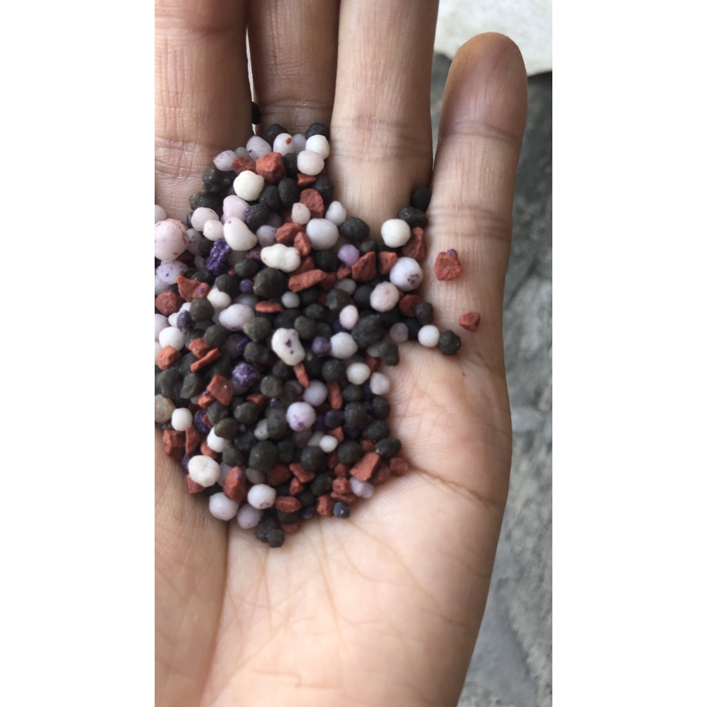 1kg phân NPK 20/20/15+TE