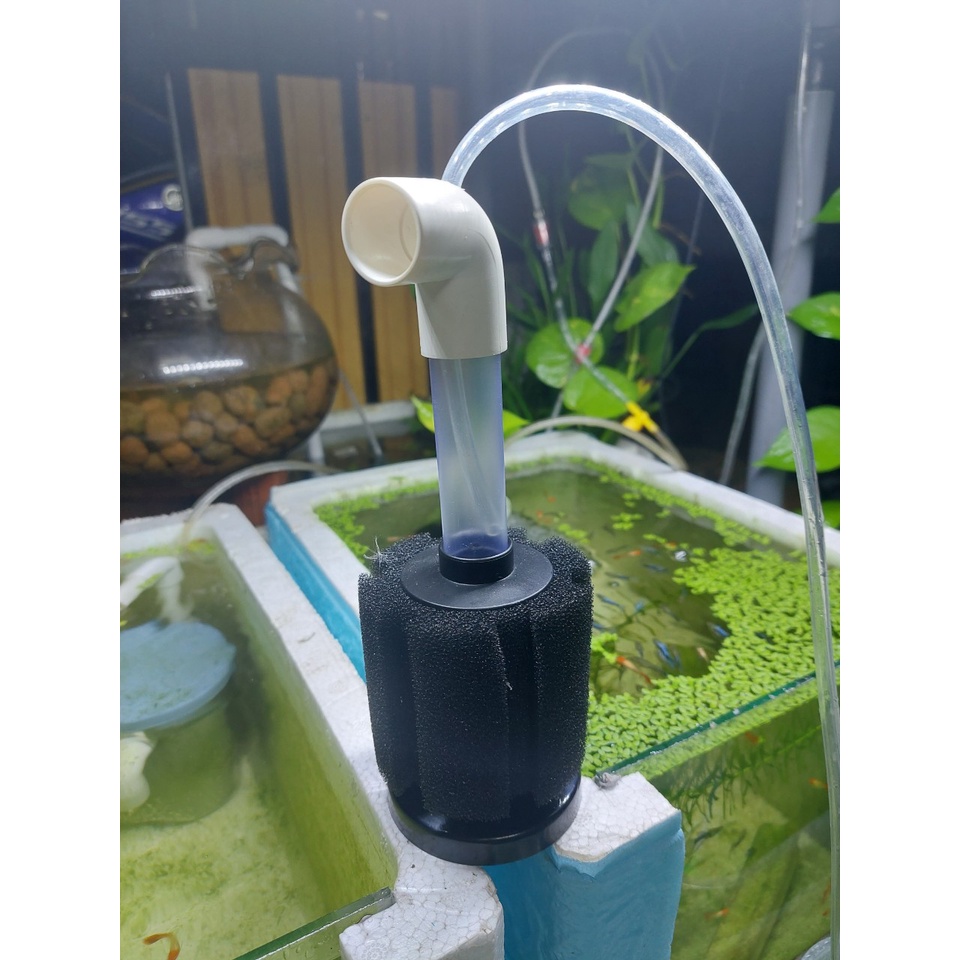 Lọc vi sinh hồ cá cảnh