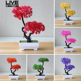 Cây bonsai giả bằng nhựa kèm chậu dùng trang trí độc đáo