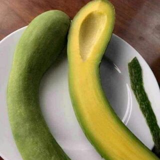 Bơ 034 nữ hoàng chân dài trái nhỏ