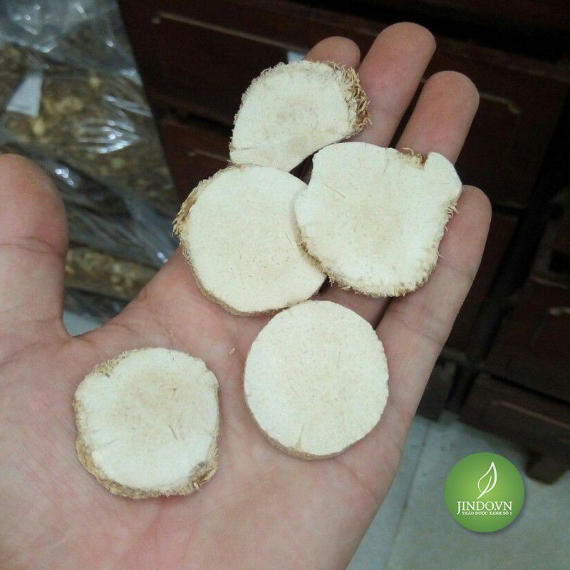 Trạch Tả - Mã đề nước - Hàng chất lượng chuẩn loại 1 sạch, khô