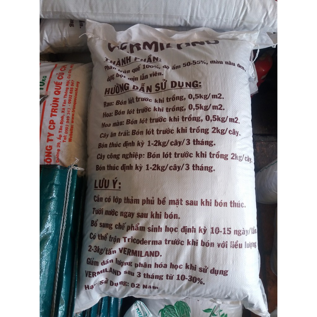 Phân trùn quế Vermiland  dày lá, mập thân