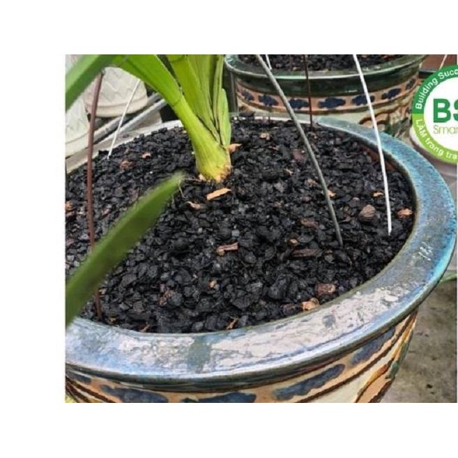 [FreeShip] 1kg Giá Thể Trồng Lan Kiếm - Vỏ Lạc Hun Đã Qua Xử Lý Sạch