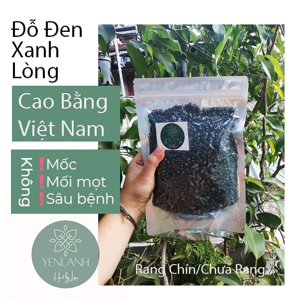 Hạt Đỗ Đen Xanh Lòng Rang Chín-Chưa Rang- Nguyên liệu Hãm Trà Thanh Nhiệt- Nấu Chè Đỗ Đen 250gr-500gr-1kg Yenlanhnatural