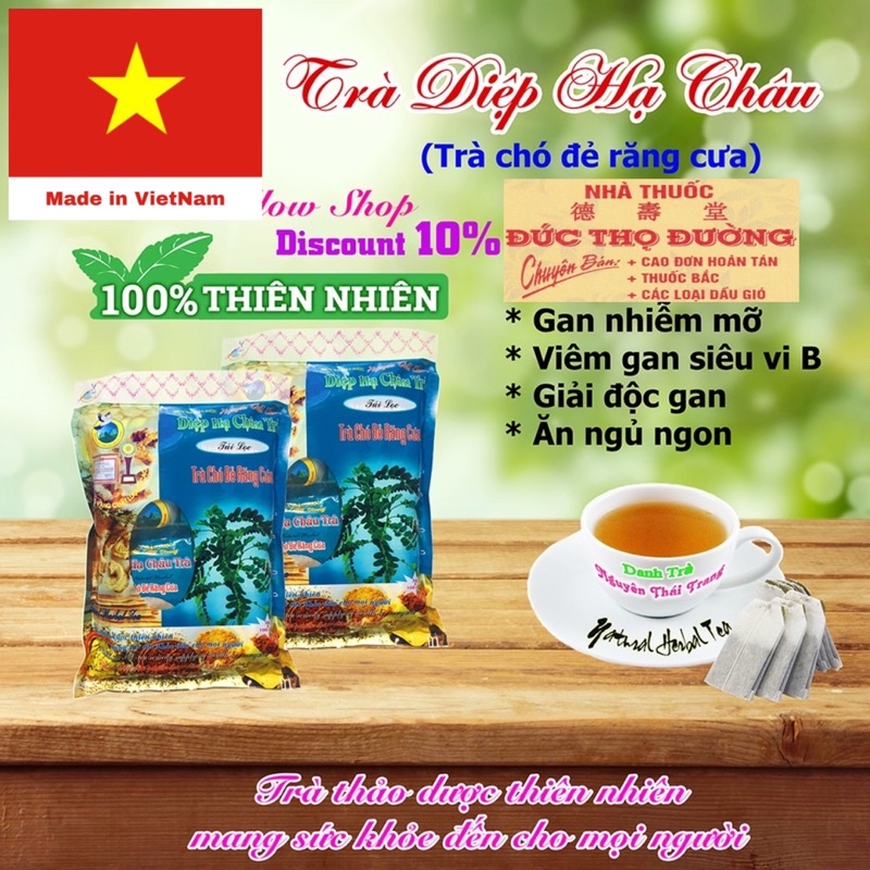 TRÀ CHÓ ĐẺ RĂNG CƯA - DIỆP HẠ CHÂU - Nguyên Thái Trang
