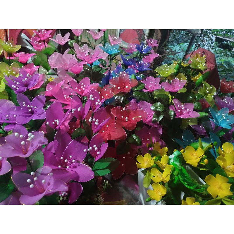 Chậu hoa vải voan thanh lí