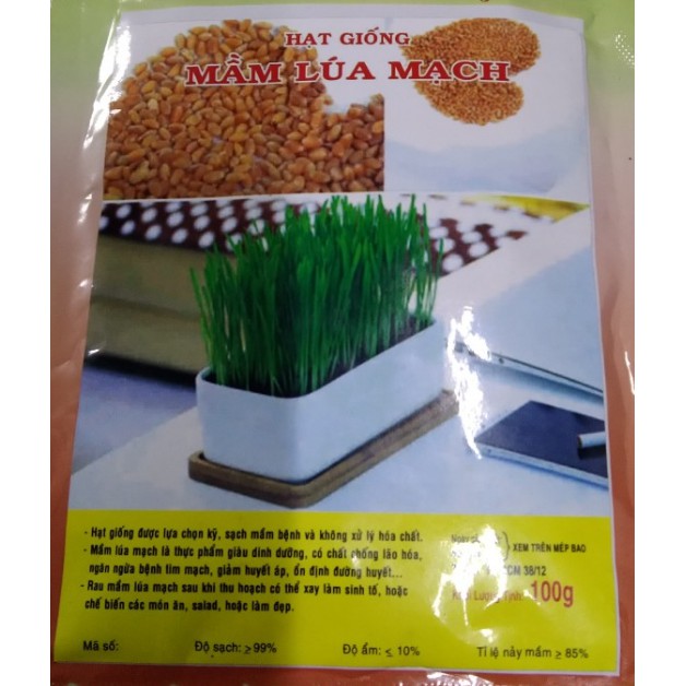 HẠT GIỐNG MẦM LÚA MẠCH - GÓI 100 GRAM
