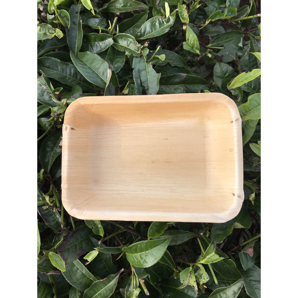 Hộp đựng không nắp/ Set 10 cái/take away/chén đĩa mo cau dùng 1 lần tiện lợi, thân thiện môi trường/ mo cau xứ Tiên